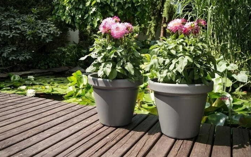 LAMELA AGAWA DLUTO-grafit